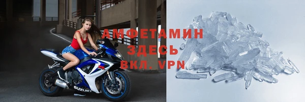 хмурый Абаза